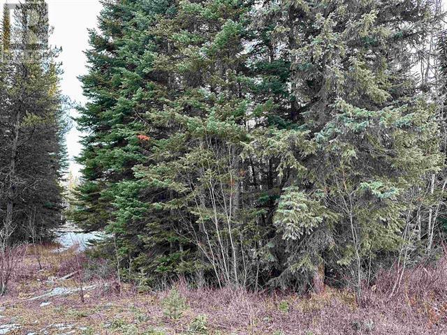 Lot 2 Kreitz Road, Prince George, British Columbia  V2N 6H3 - Photo 6 - R2858448