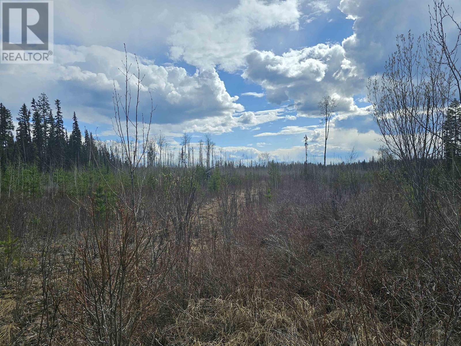 Dl 1967 Willow Cale Forest Service Road, Prince George, British Columbia  V2N 7A8 - Photo 14 - R2955996